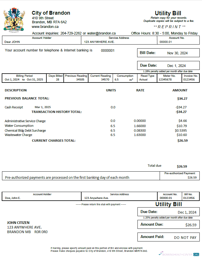 download download Canada City of Brandon utility bill template in Word and PDF formats PDF template PDF template
